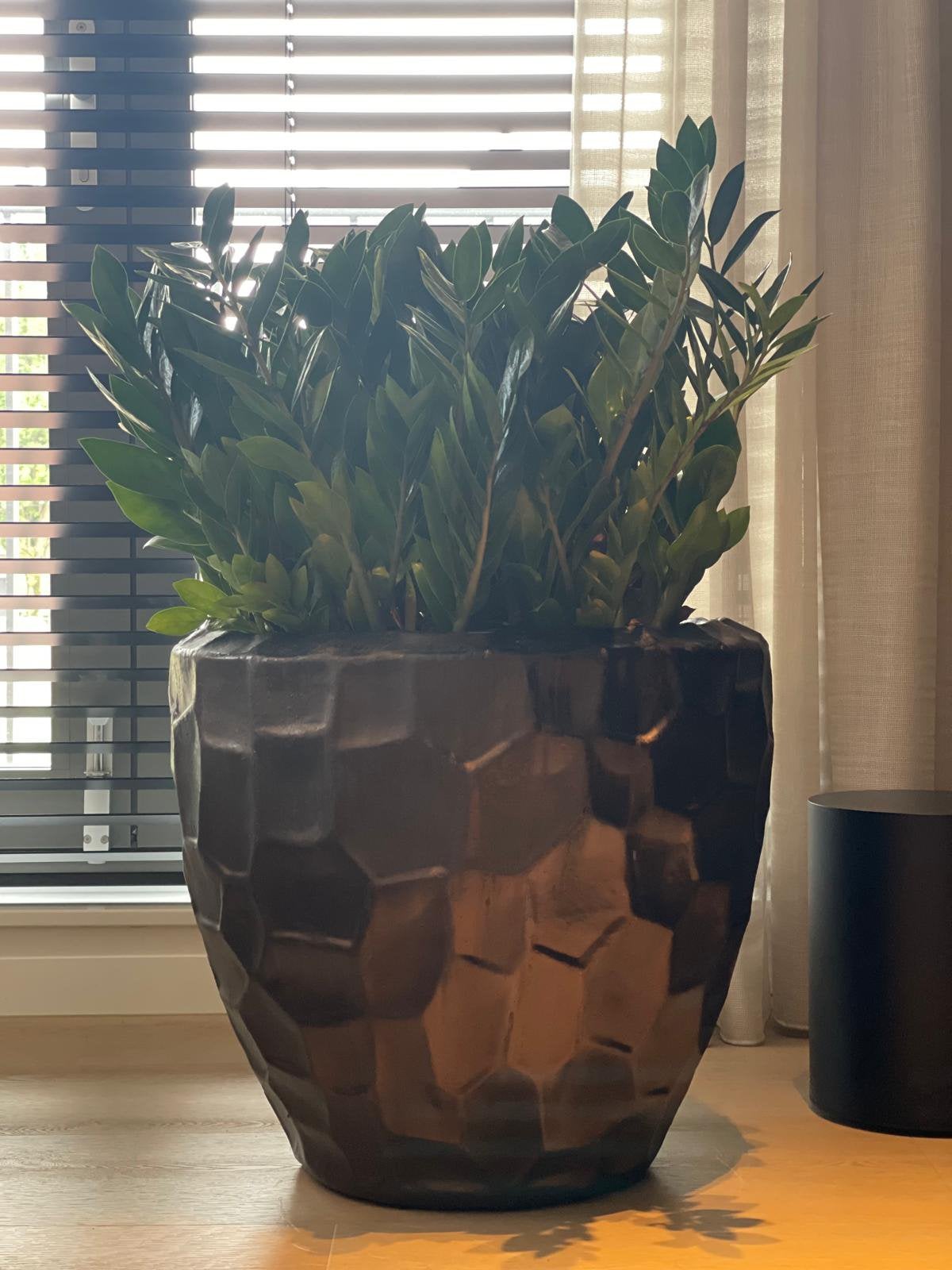 Planten pot voor binnen 48 cm hoog 45 cm doorsnee, Ophalen, 40 cm of meer, Rond, Binnen