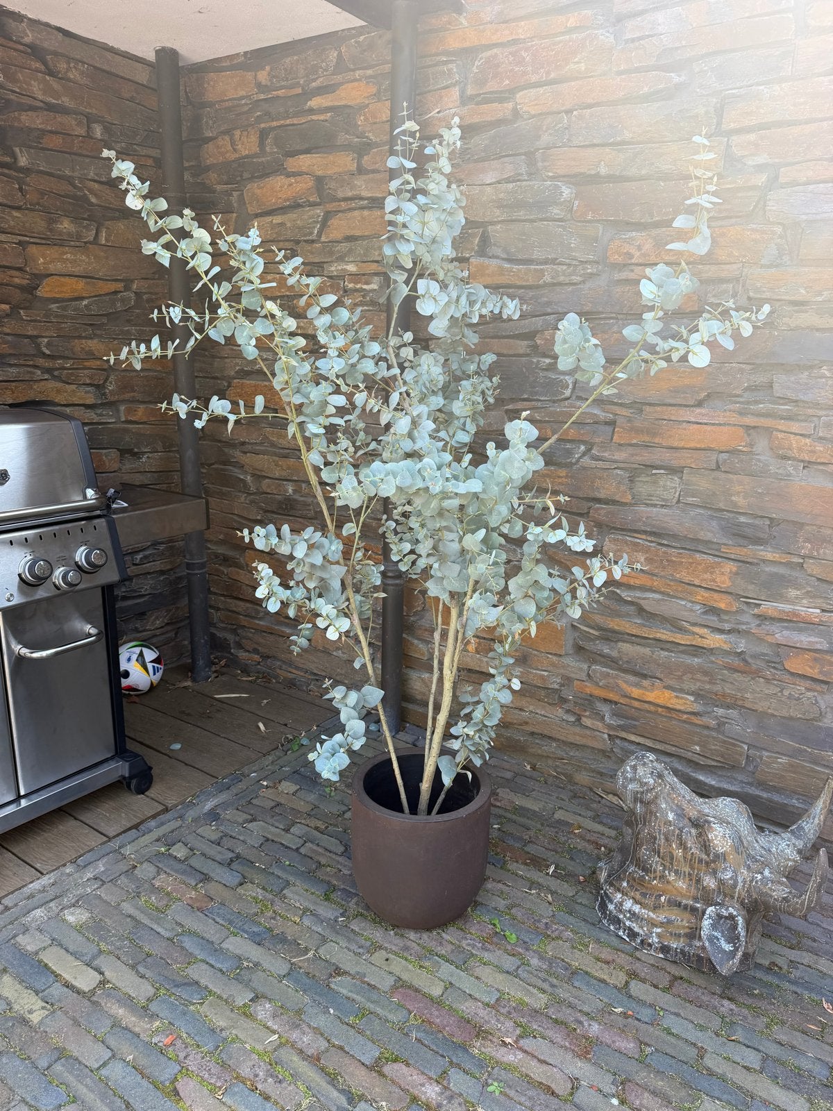 Grote Eucalyptus boom - Decoratieve kunstplant, Volle zon, Vaste plant, Bloeit niet, Ophalen