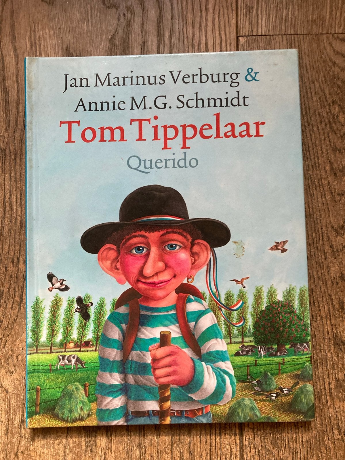 Tom Tippelaar - Jan Marinus Verburg & Annie M.G. Schmidt, Ophalen of Verzenden, Zo goed als nieuw, Fictie algemeen