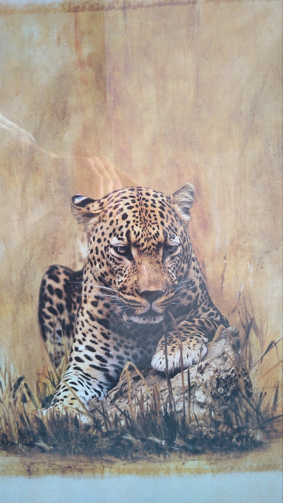 schilderij lijst panter luipaard jaguar ZGAN, Ophalen of Verzenden