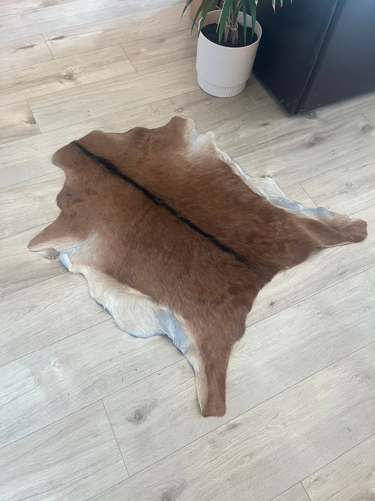 Vintage geitenvel kleedje leer huid geitenvel, 50 tot 100 cm, Bruin, Overige vormen, 50 tot 100 cm