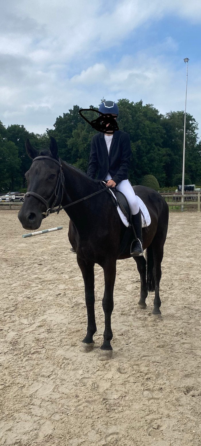 Verzorgpony gezocht, Ophalen