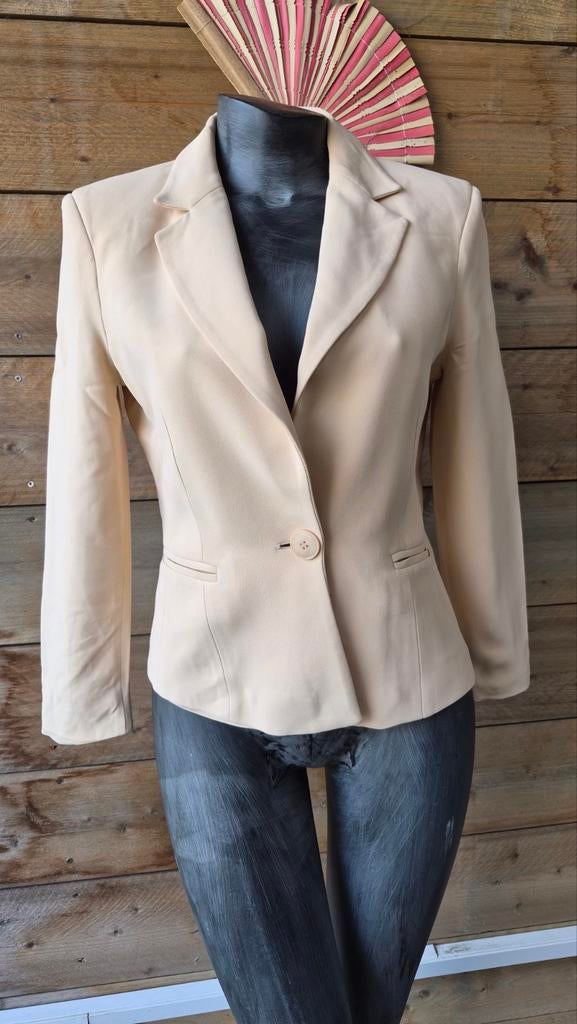 Elisabetta Franchi prachtige blazer maat 38, Kleding | Dames, Maat 38/40 (M), Elisabetta Franchi, Beige, Ophalen of Verzenden