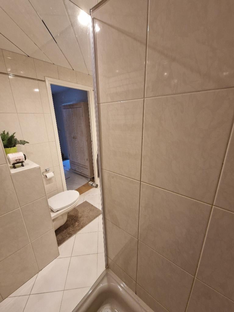 Glazen douchedeur, Huis en Inrichting, Badkamer | Complete badkamers, Zo goed als nieuw, Ophalen