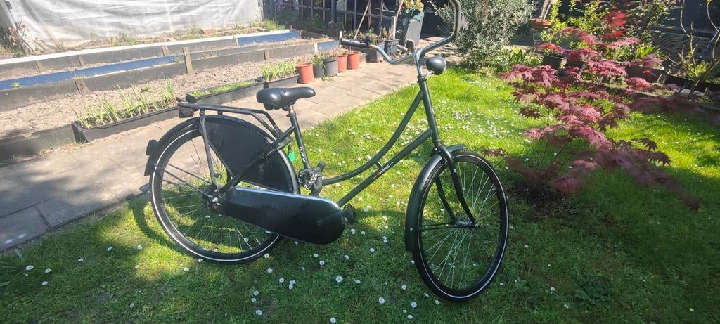 Dames fiets, 56 cm of meer, Ophalen, Gebruikt, Overige merken