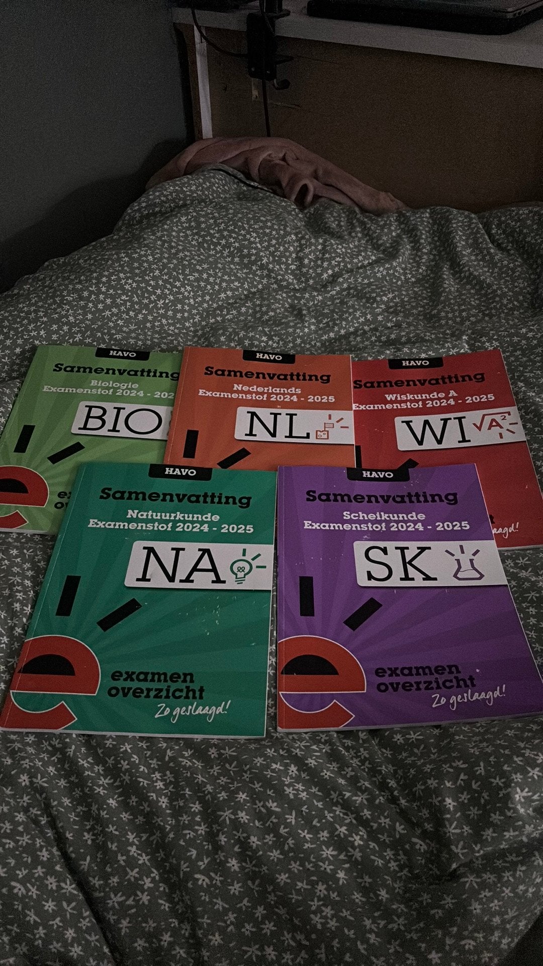 Examenoverzicht samenvattingen, Boeken, Schoolboeken, Ophalen of Verzenden, Zo goed als nieuw, HAVO, Overige vakken