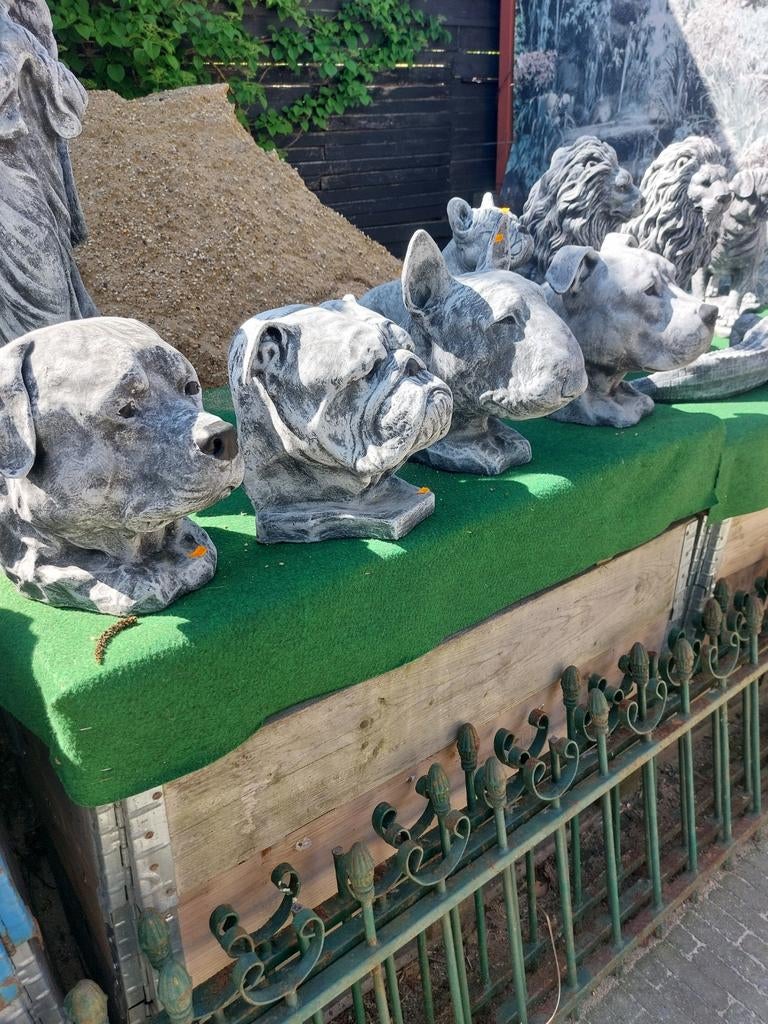 Hondenkoppen, verschillende soorten, Ophalen, Nieuw, Beton, Dierenbeeld