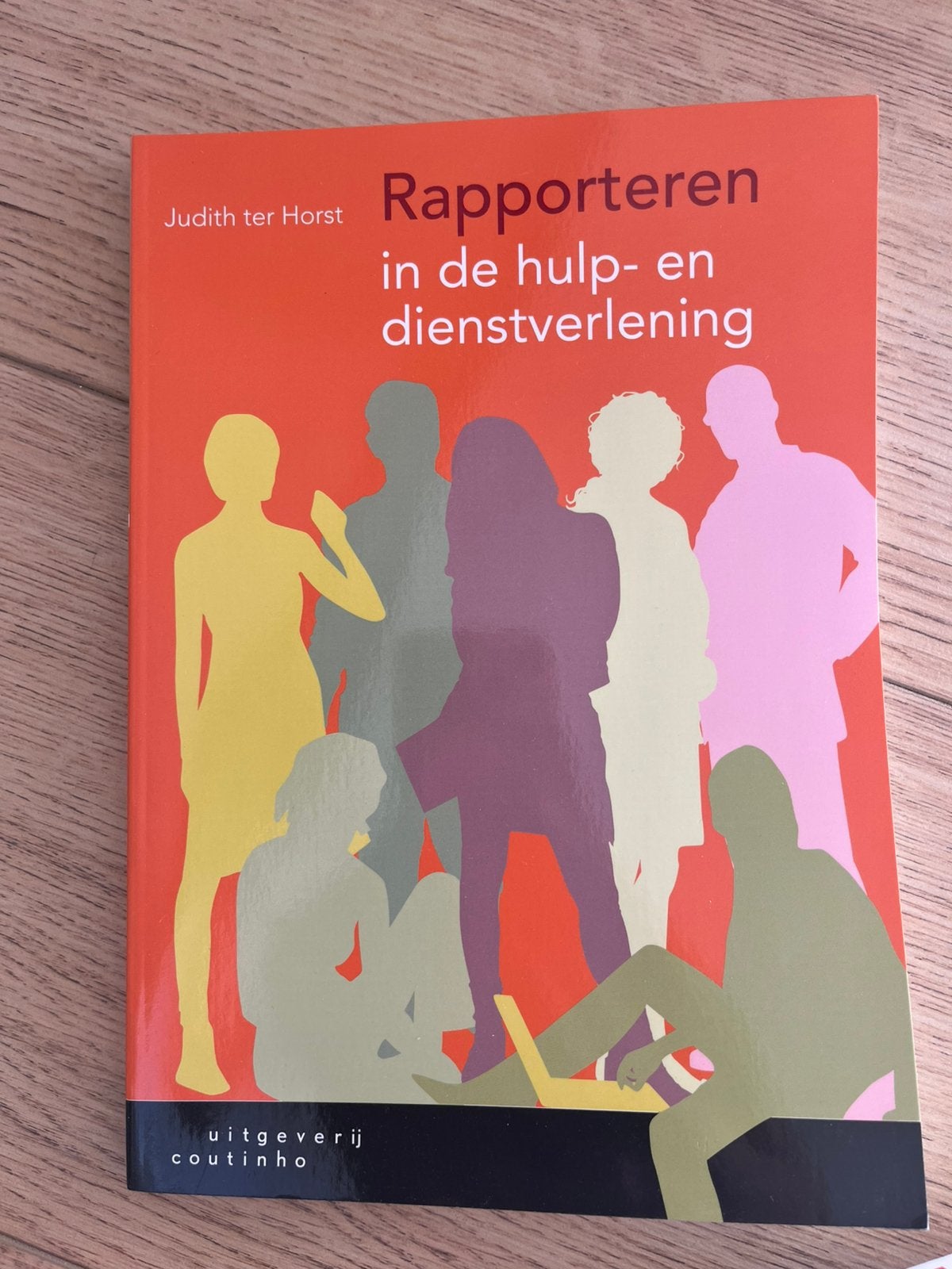 Rapporteren in de hulp- en dienstverlening, Ophalen of Verzenden, Alpha, Zo goed als nieuw, HBO