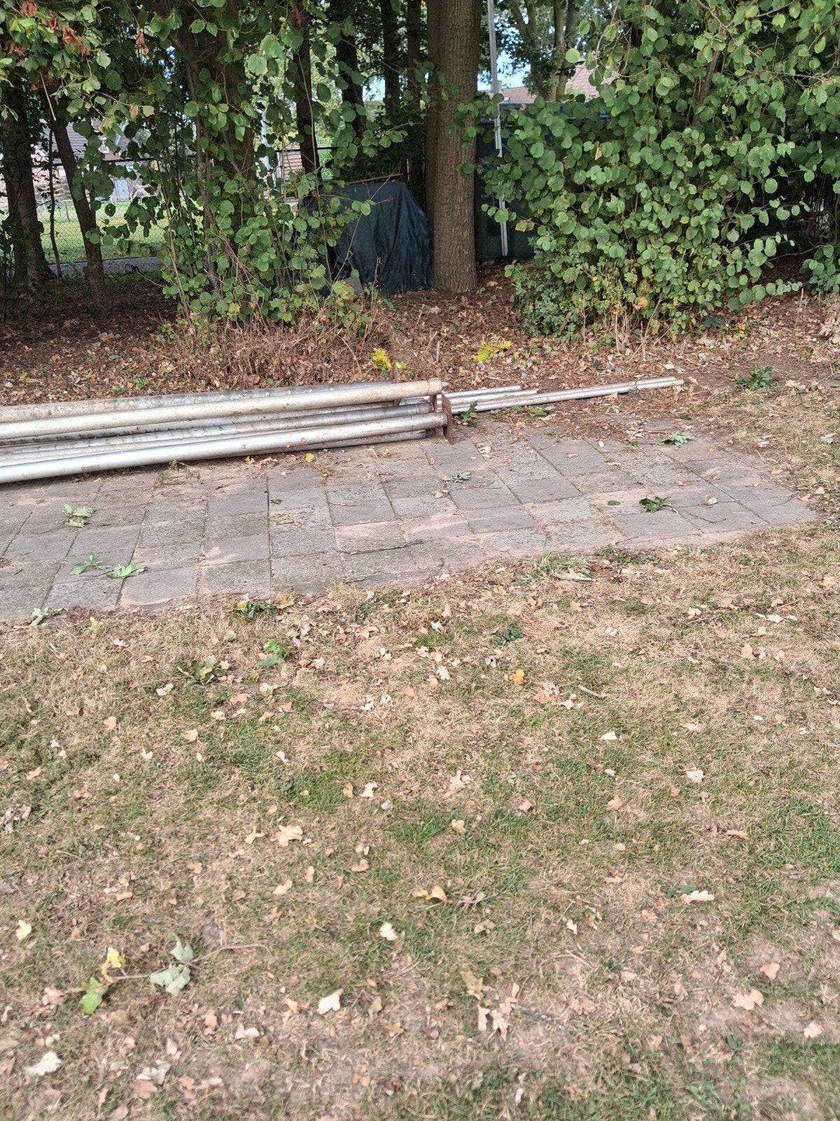 ballen vanger, Maat XL, Ophalen of Verzenden, Gebruikt, Bal