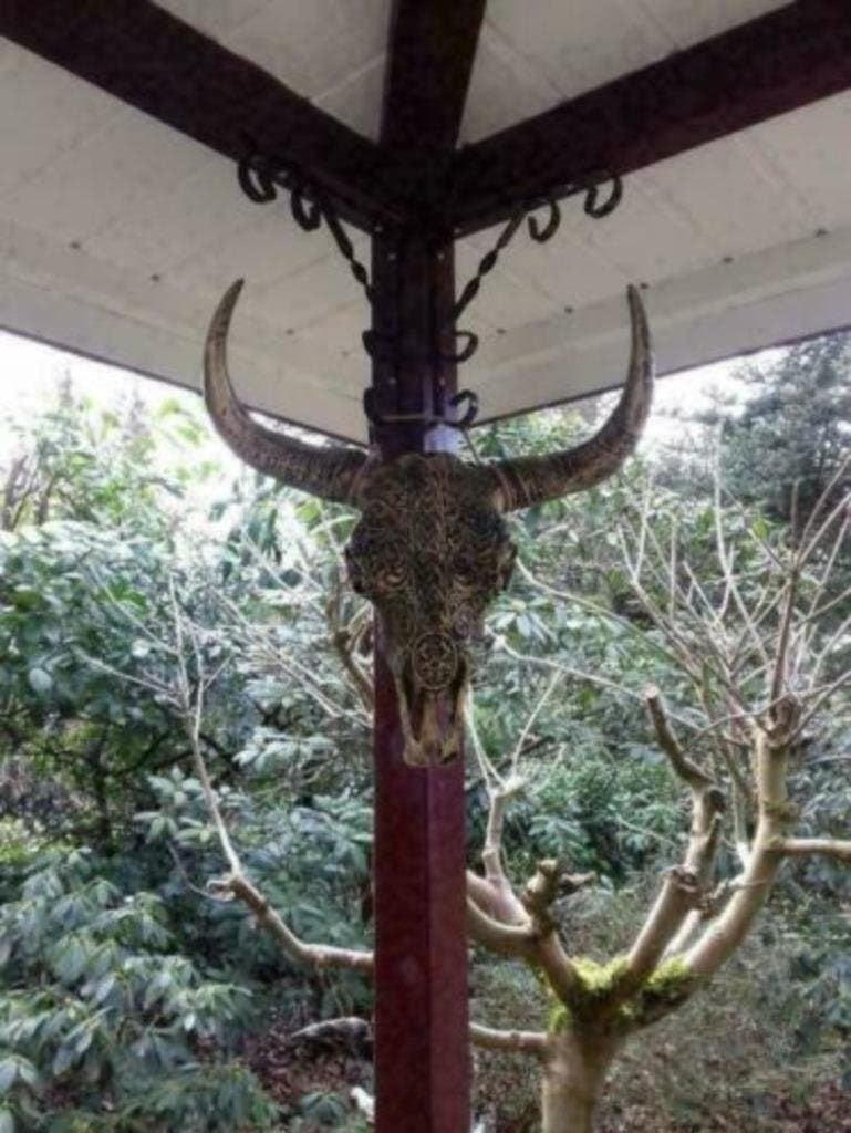 Foto 24 van Buffelschedels , Skulls , Longhorn , hoorns , bison schedels