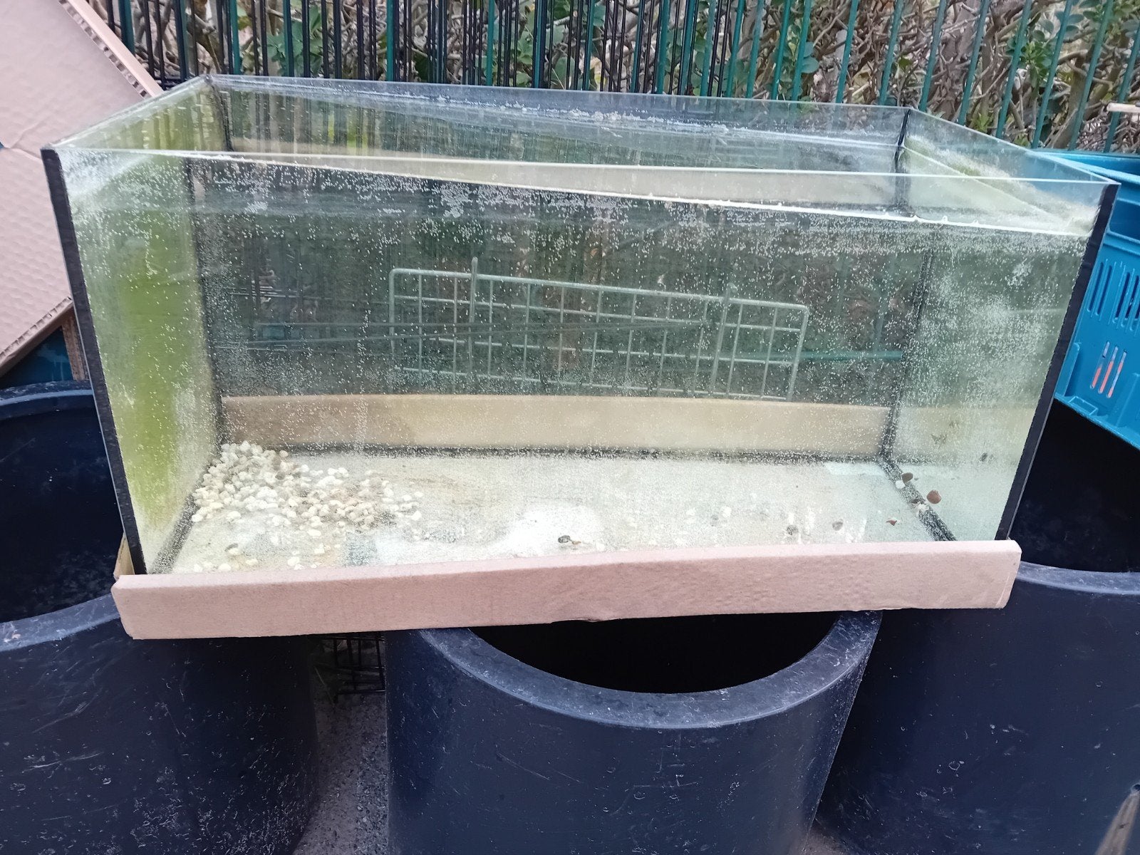 Aqarium tekoop, Ophalen, Zo goed als nieuw, Leeg aquarium