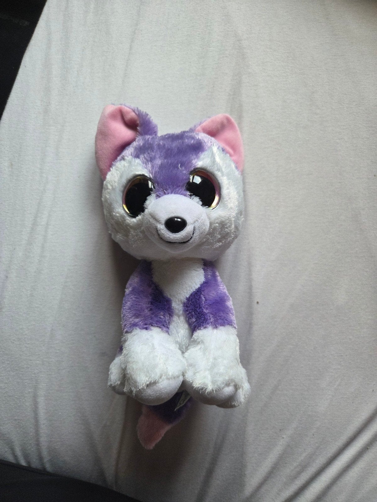 Ty Beanie Boo knuffel hond paars wit met grote ogen, Paars, Klein (minder dan 20 cm), Ty, Hond