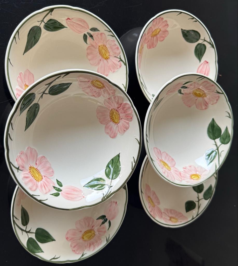 Villeroy & Boch zes kommen van 16 cm en zes borden van 21 cm, Gebruikt, Ophalen of Verzenden, Kom(men), Overige stijlen