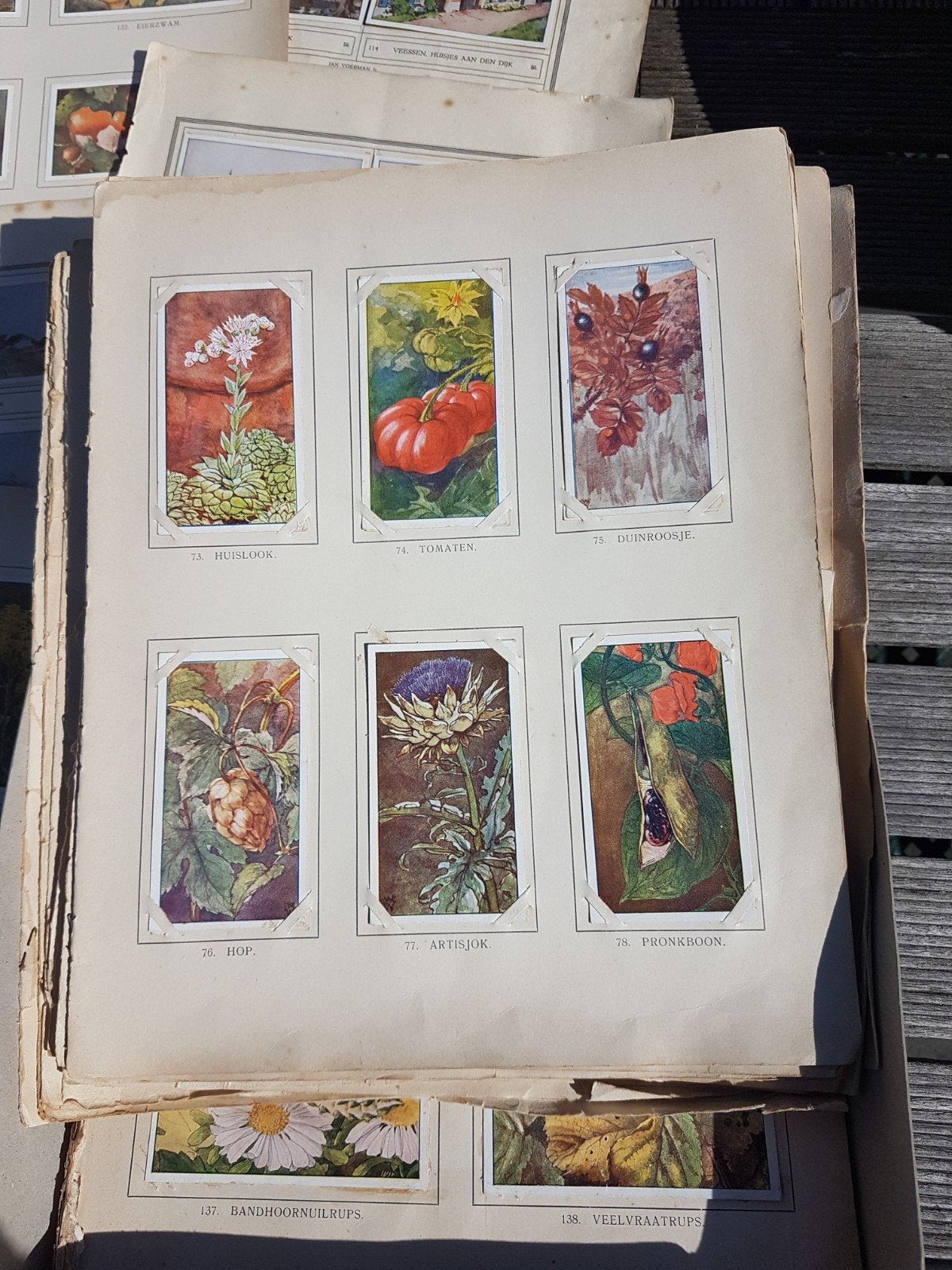 Aangeboden Plaatjesvellen Verkadealbums!
15 vellen vaak, Boeken, Ophalen of Verzenden