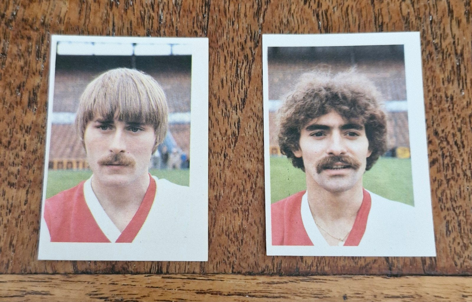 Feyenoord Voetbalplaatjes 1980/81 - Nielsen & Stafleu, Ophalen of Verzenden, Zo goed als nieuw, Feyenoord, Poster, Plaatje of Sticker