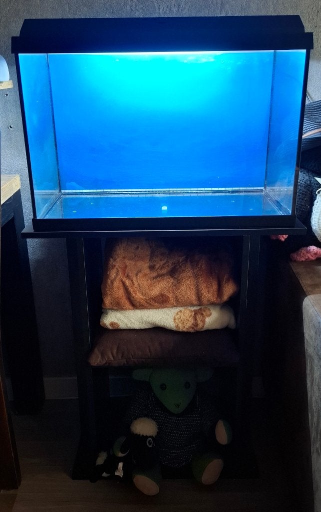 Juwel Primo 60 liter, Dieren en Toebehoren, Ophalen, Leeg aquarium, Juwel
