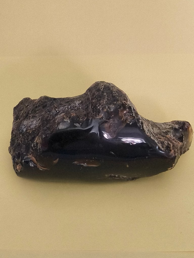 Amber, Ophalen of Verzenden, Fossiel