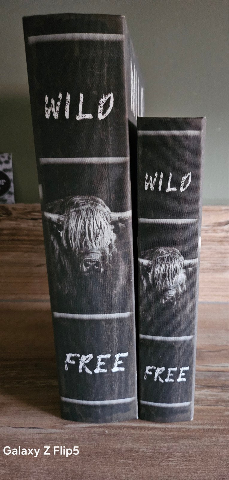 2 decoratieboeken met schotse hooglanders, Ophalen of Verzenden, Zo goed als nieuw