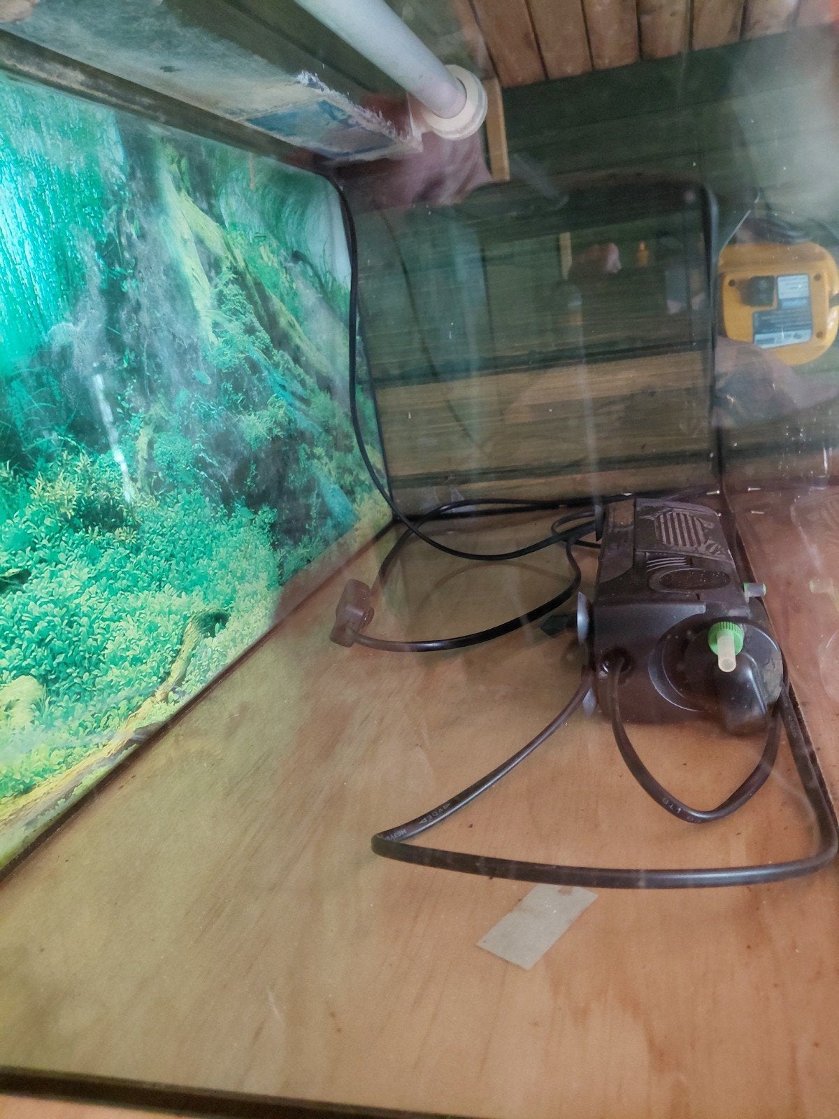 warm of koud water aquarium, Ophalen, Leeg aquarium
