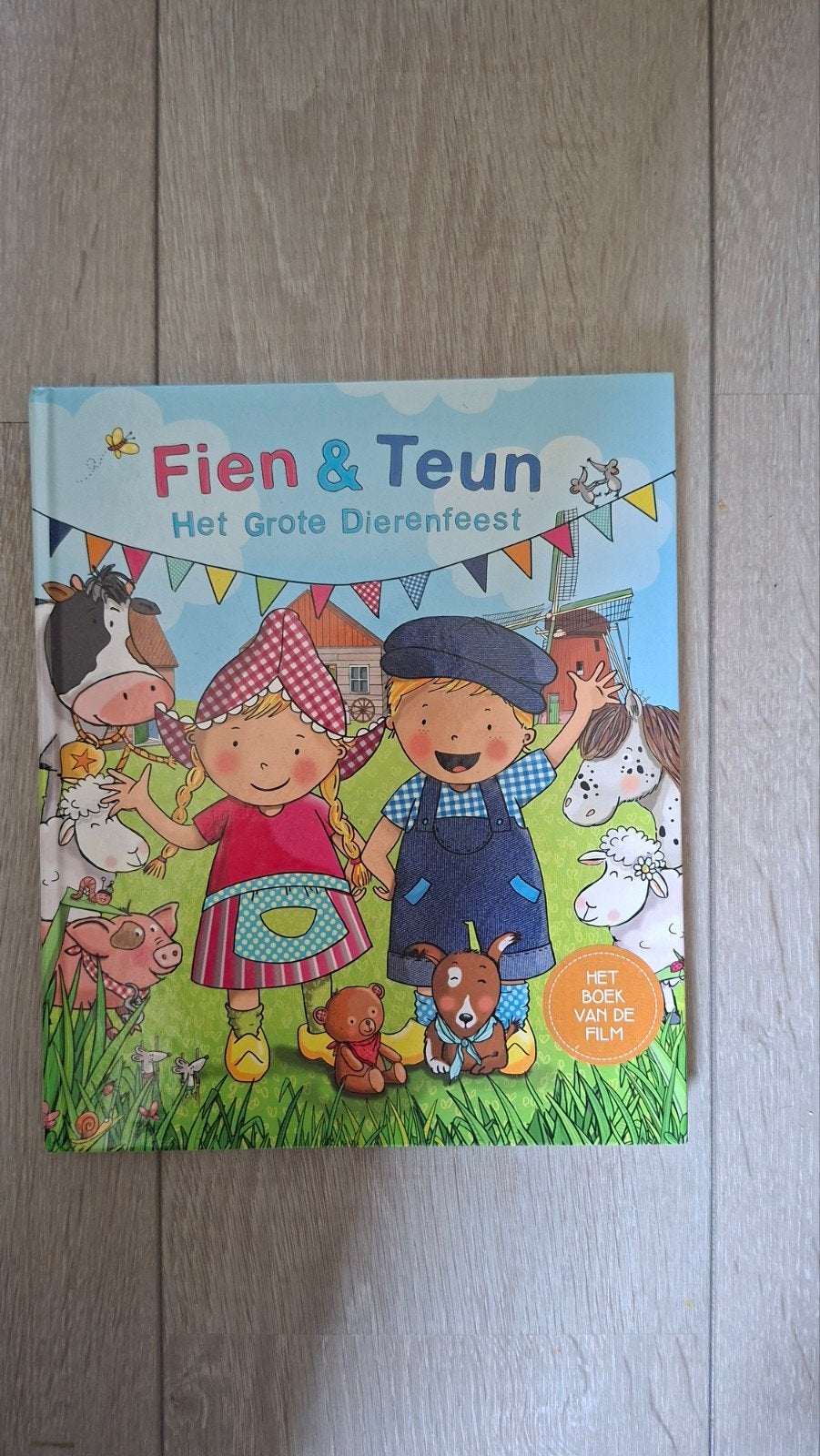 Fien & Teun: Het Grote Dierenfeest - Het Boek van de Film, Ophalen of Verzenden, Zo goed als nieuw, Onbekend, 2 tot 3 jaar
