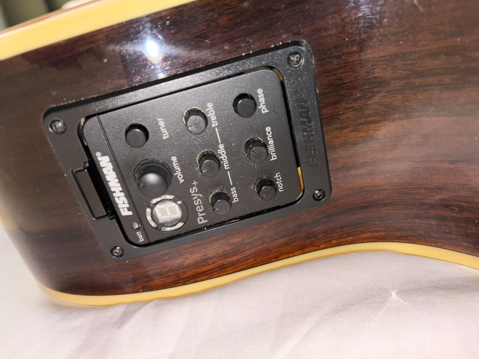 Richwood gitaar, Ophalen, Gebruikt, Overige typen, Met koffer