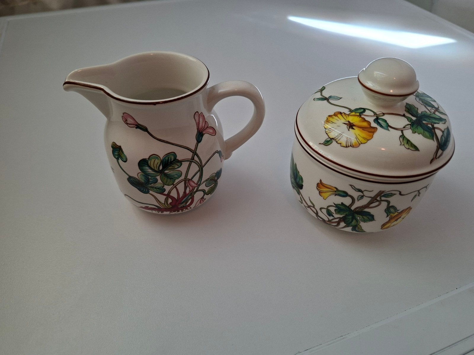 Botanica V&B suikerpot en melkkan, Ophalen of Verzenden