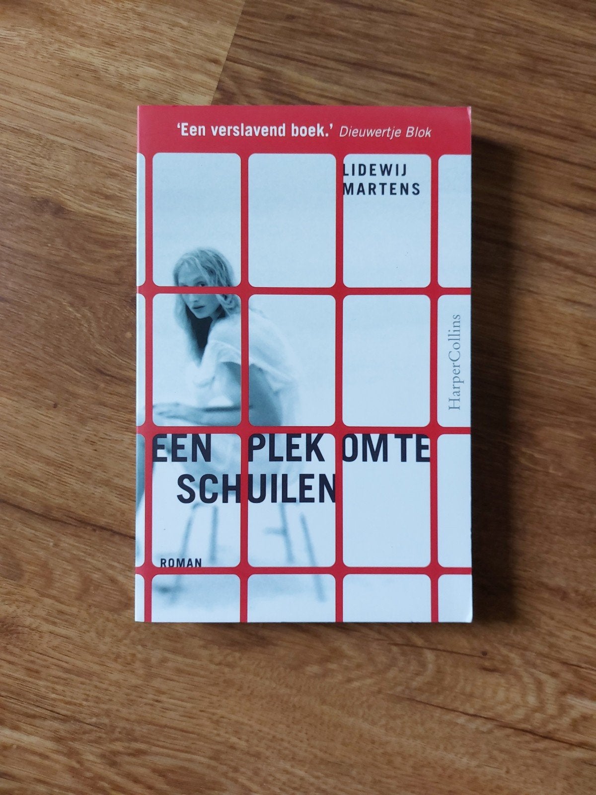Roman van Lidewij Martens • Een plek om te schuilen, Ophalen of Verzenden, Zo goed als nieuw, Lidewij Martens