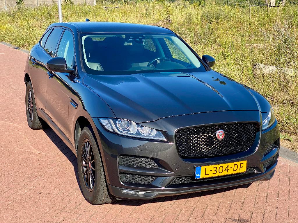 Jaguar F-Pace 20d 2.0 AWD Aut 2016 Grijs **nieuw Blok**, Automaat, 4 cilinders, 179 pk, Leder