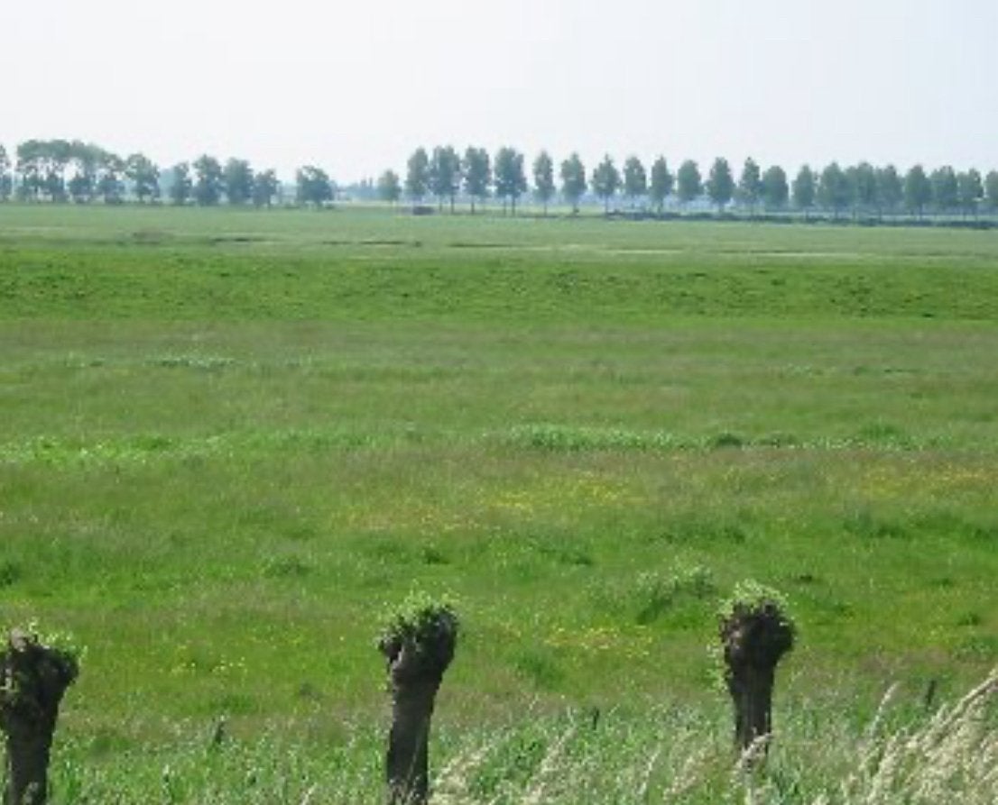Stalling rondom Dordrecht gezocht!, Stalling