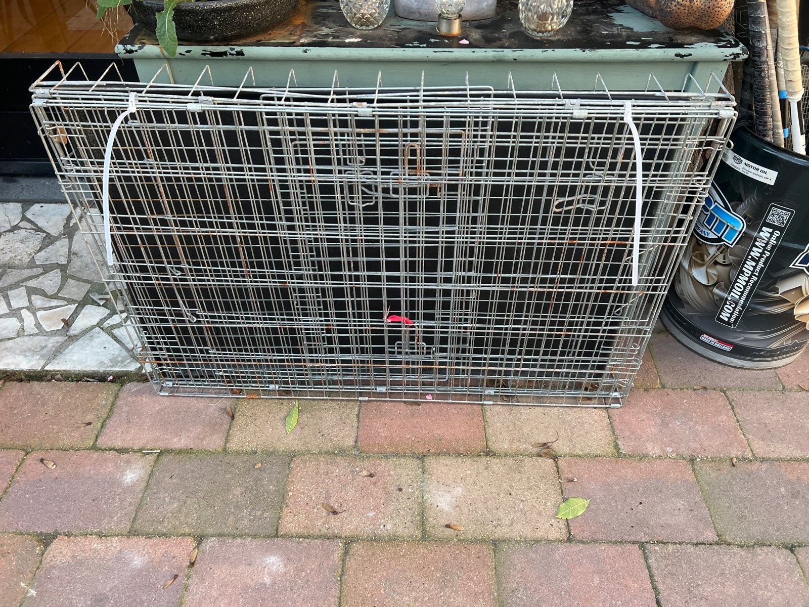Grote honden bench, Ophalen, Gebruikt
