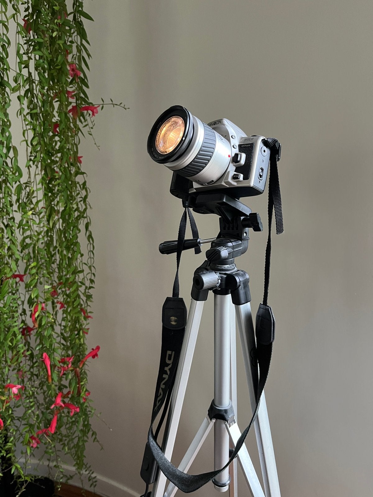 Minolta Camera als decoratieve lamp, Design, industrieel, repurposed, recycled, 100 tot 150 cm, E14 (klein), Ophalen of Verzenden