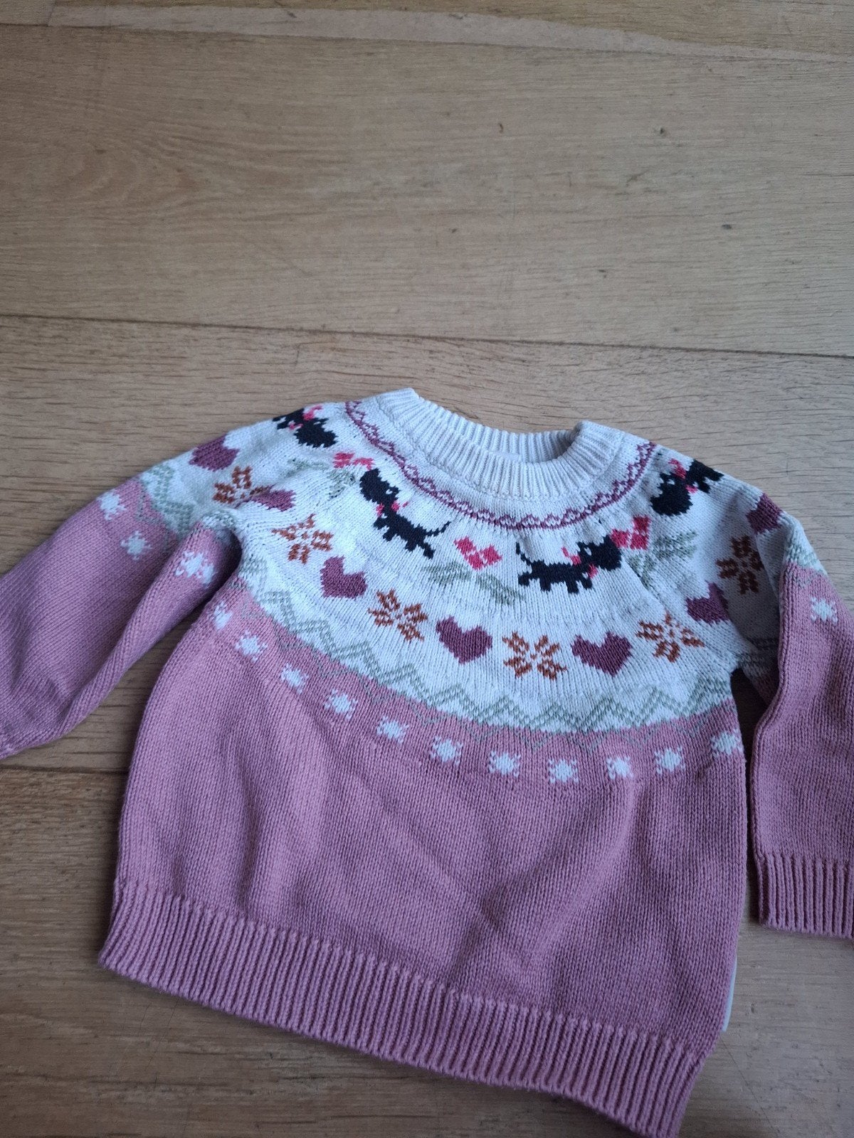 Hema truitje maat 68 takkie, Kinderen en Baby's, Babykleding | Maat 68, Gebruikt, Ophalen of Verzenden, Hema, Truitje of Vestje
