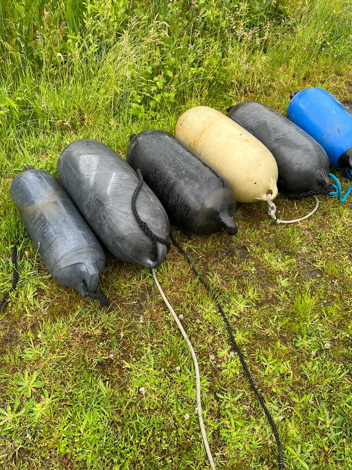 Grote stootwillen., Ophalen of Verzenden, Overige typen