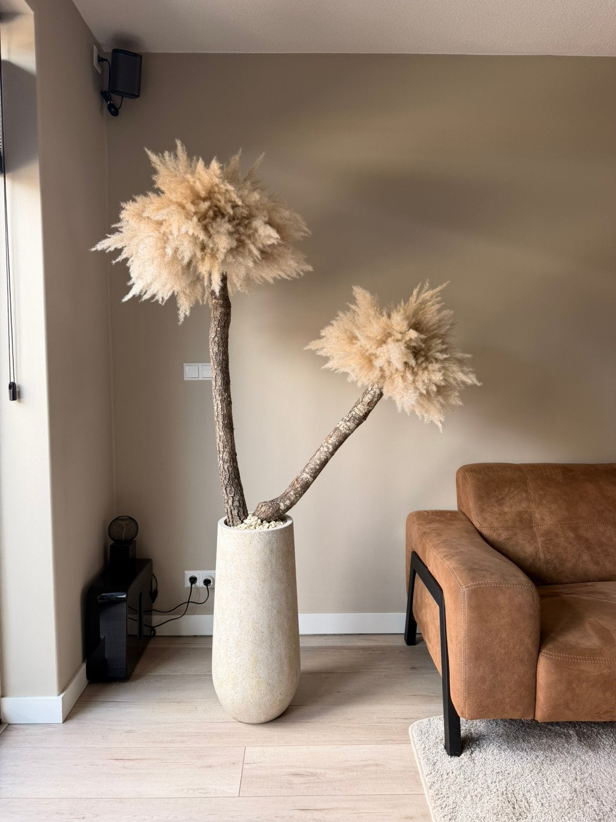 Pampas boom, Lvkvazen, Nieuw, Info@lvkvazen.com, Ophalen