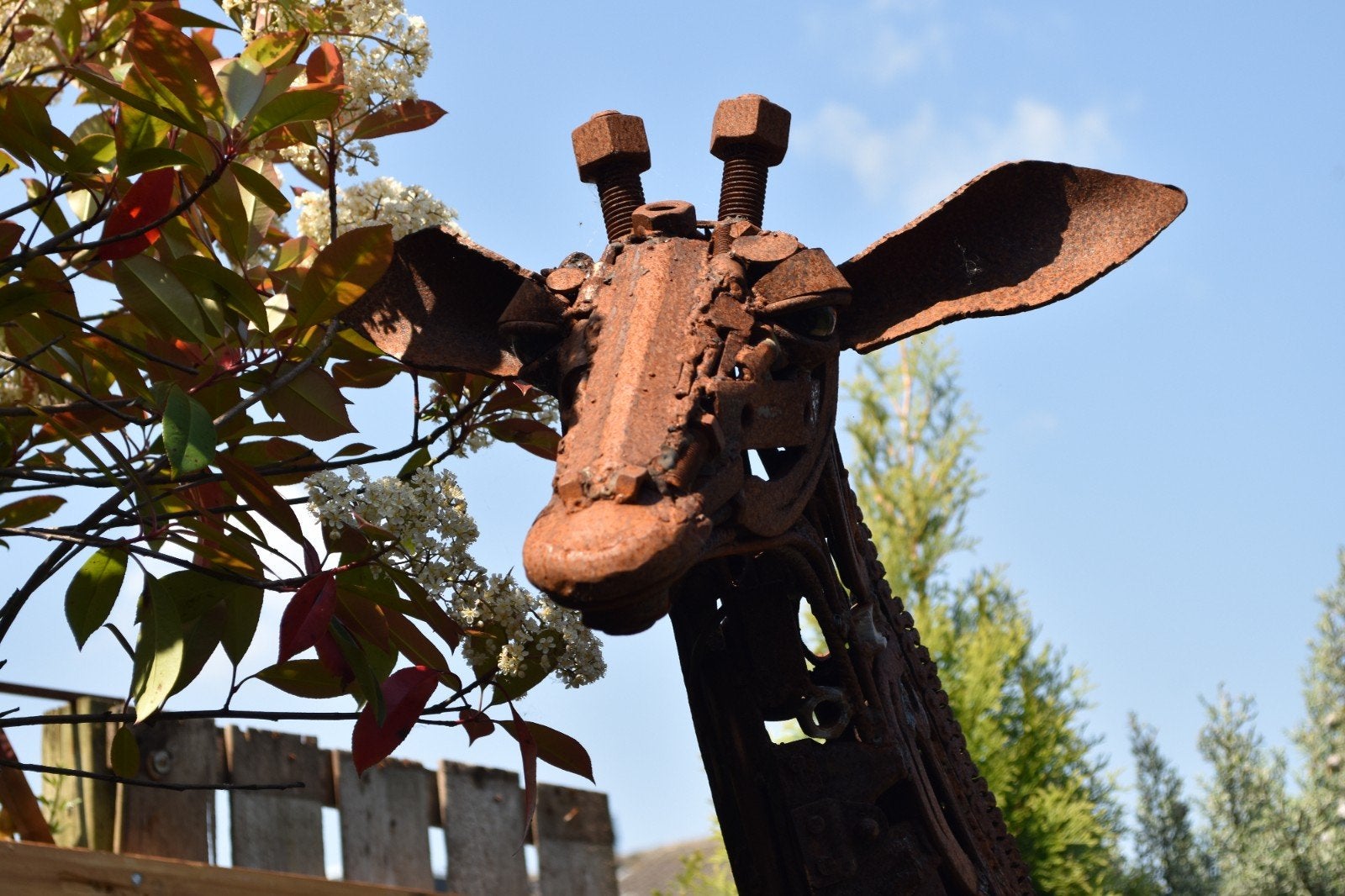 Unieke Giraffe sculptuur van hergebruikt metaal - 200cm, Ophalen of Verzenden