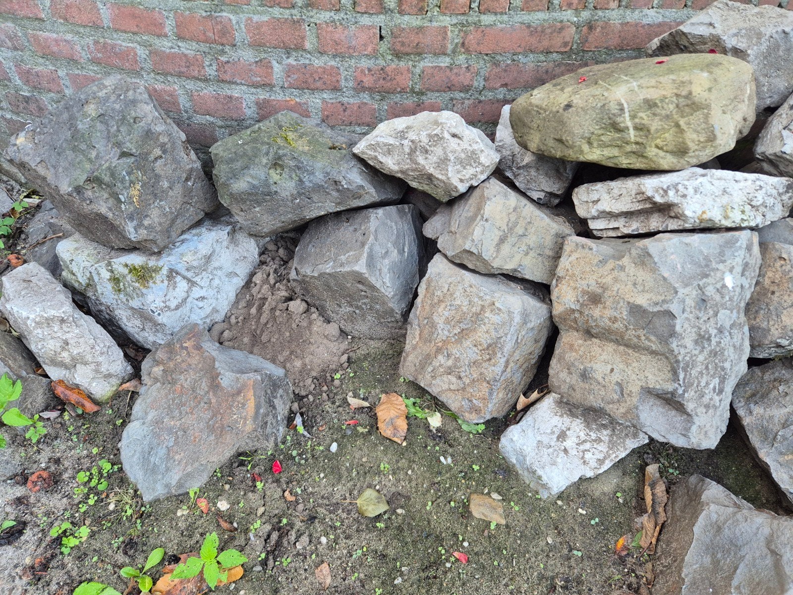Gratis stenen voor rots tuin of decoratie, Tuin en Terras, Ophalen, Gebruikt
