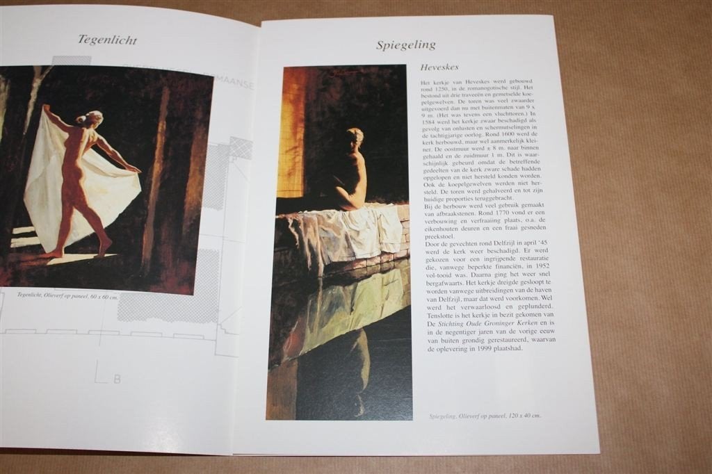 Brochure. In het licht van Heveskes. Johannes Kleiker., Boeken, Ophalen of Verzenden, Gelezen