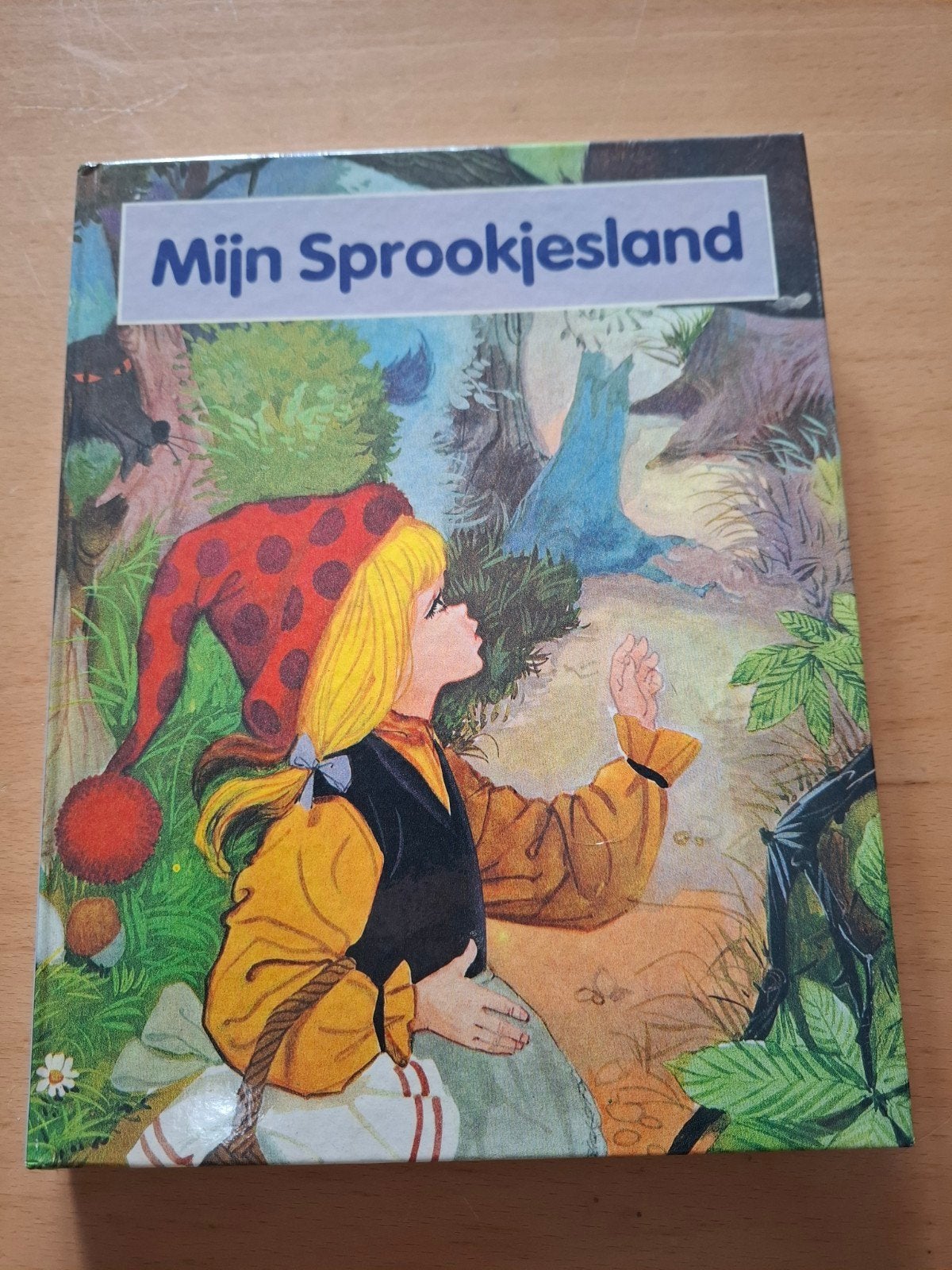 Groot formaat sprookjesboek, Boeken, Ophalen of Verzenden, Zo goed als nieuw