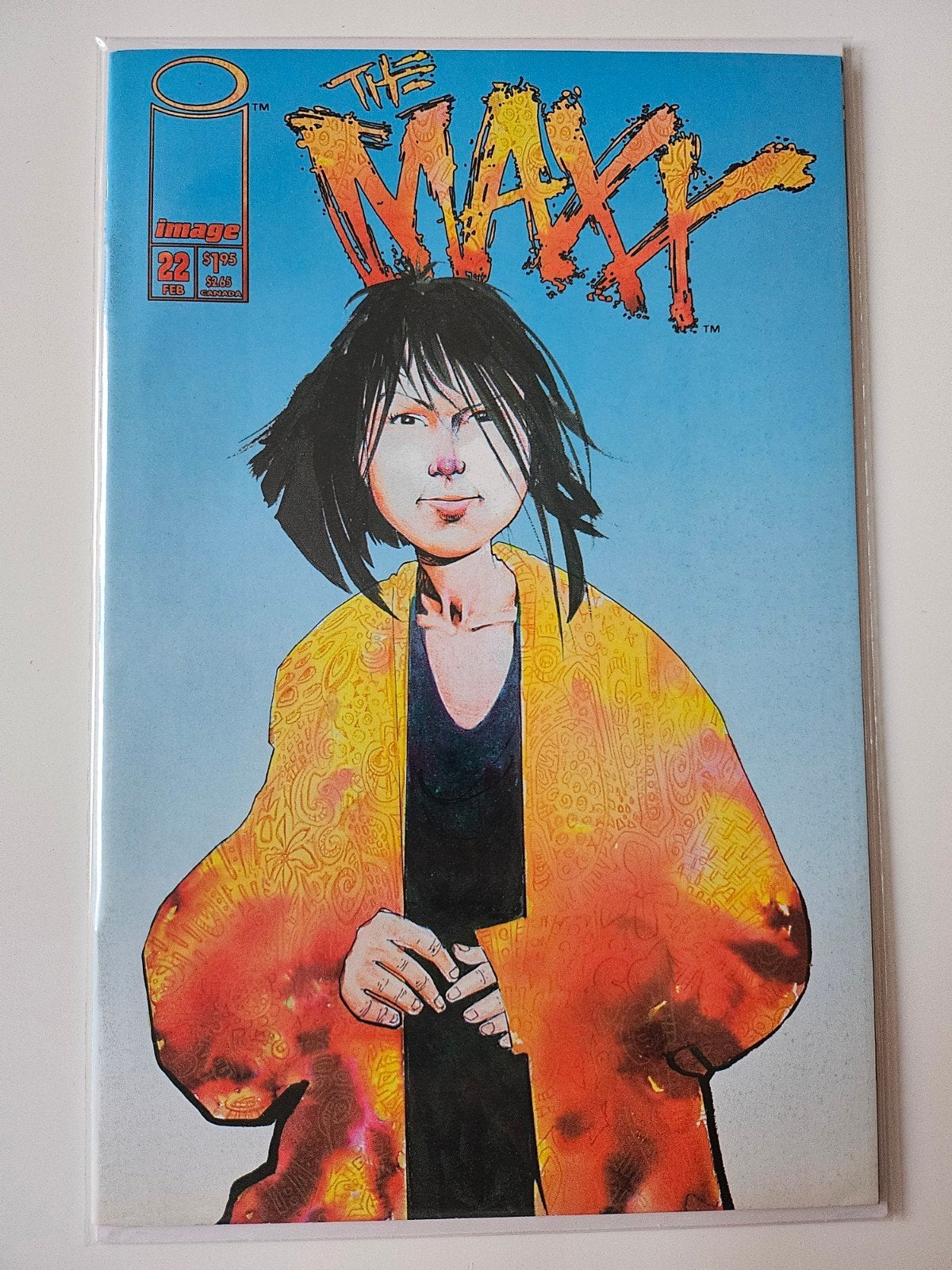 The Maxx #22 (Comics), Meerdere comics, Ophalen of Verzenden, Zo goed als nieuw, Amerika