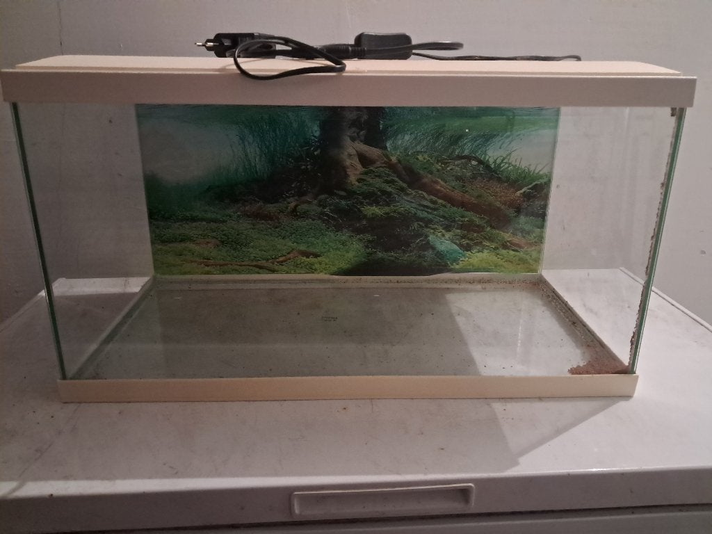 aquarium, Dieren en Toebehoren, Vissen | Aquaria en Toebehoren, Ophalen, Inclusief slangen, Gebruikt, Leeg aquarium