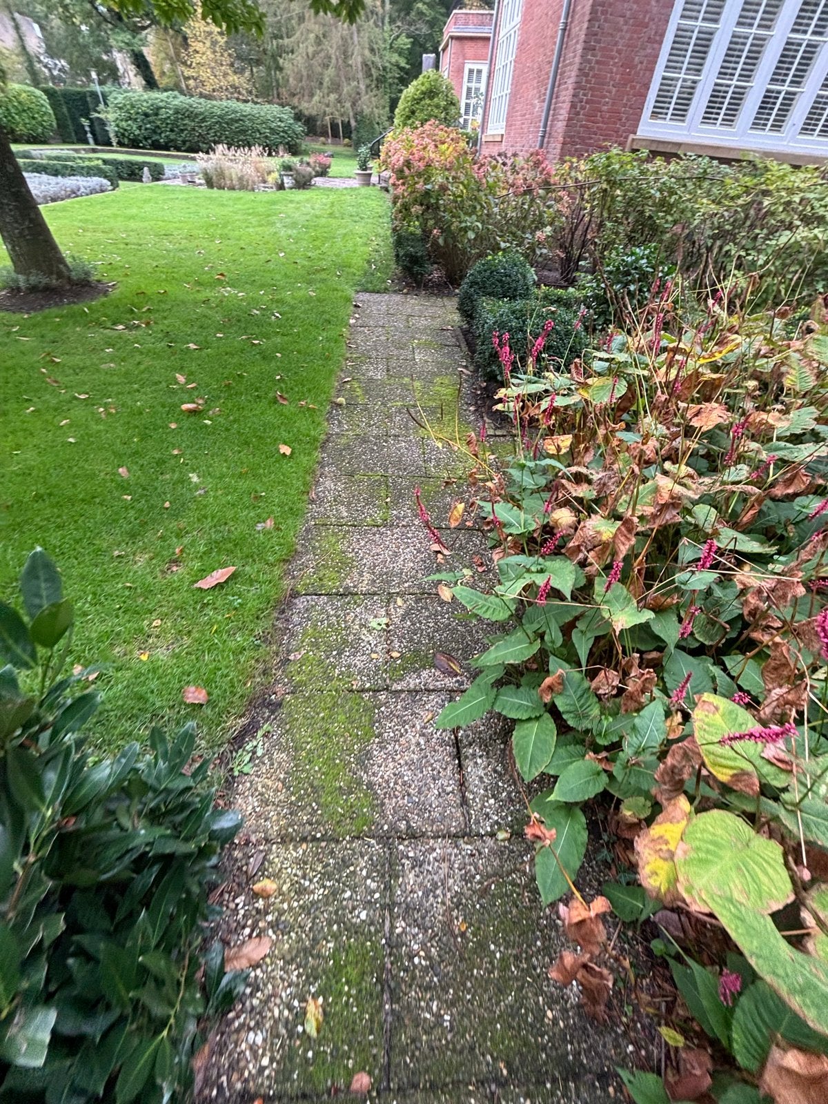 Gratis grindtegels, Tuin en Terras, Ophalen, Gebruikt