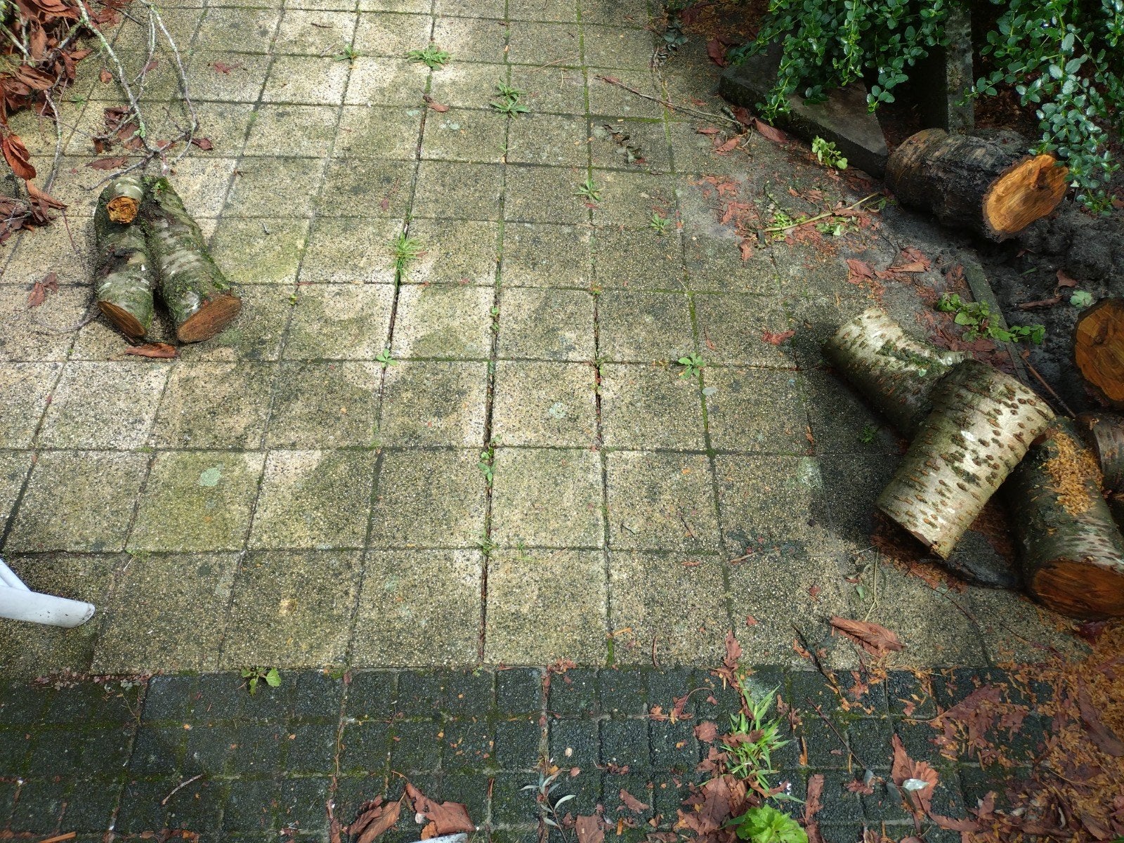 gratis tegels, Ophalen, Gebruikt, Beton, Terrastegels