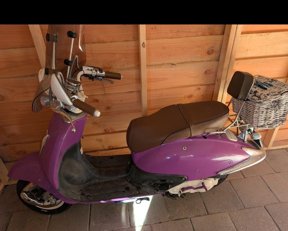 Scooter paarse me windscherm, Ophalen, Gebruikt, Overige typen, Overige merken