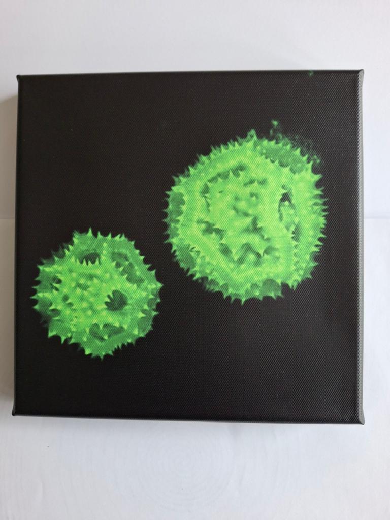 Microscopische opname stuifmeel paardebloem; canvas 20x20 cm, Ophalen of Verzenden