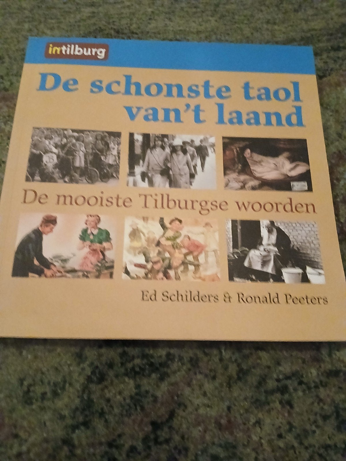 De mooiste tilburgse woorden ed schilders, Ophalen of Verzenden