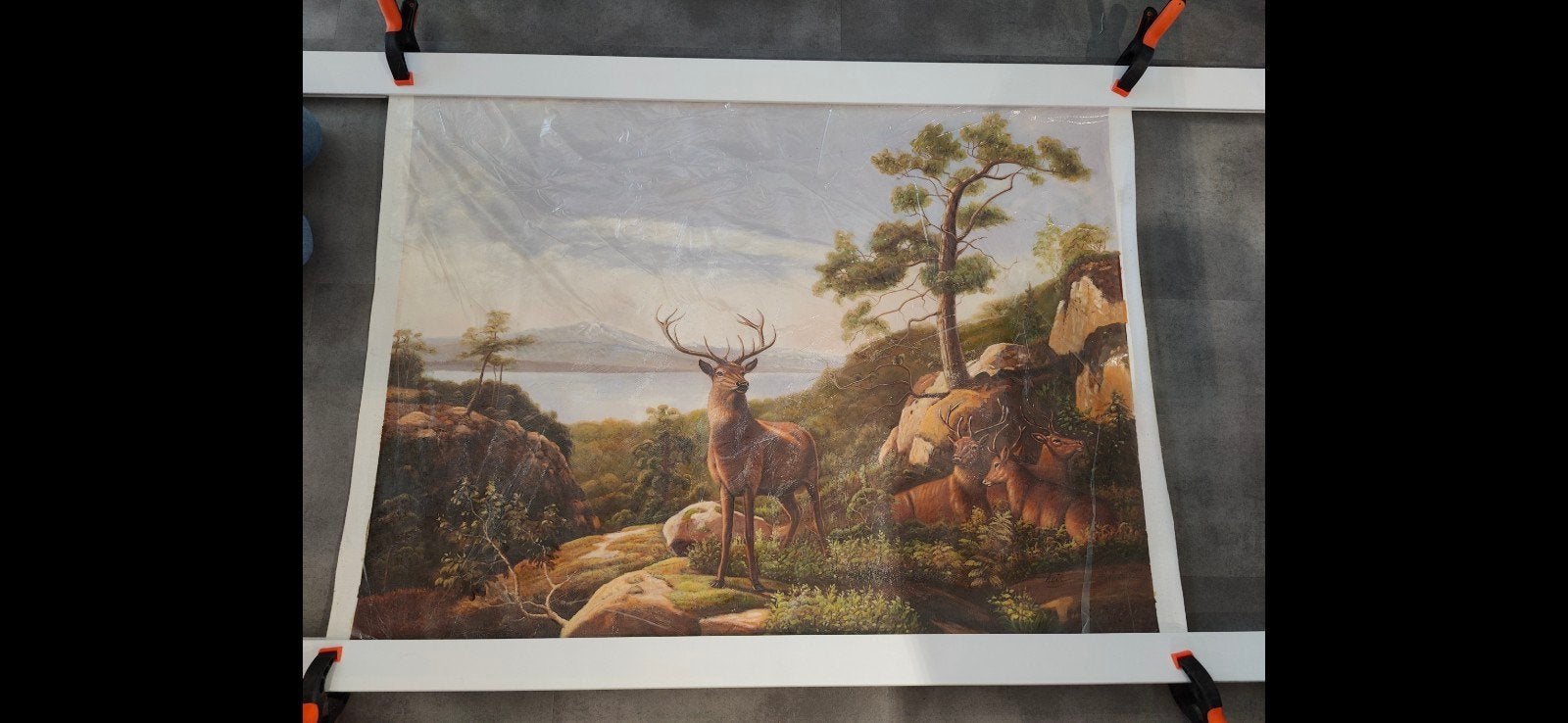 Schilderij op doek: Edelhert in berglandschap 130x100cm, Doek, Realistisch, Dieren, Ophalen of Verzenden