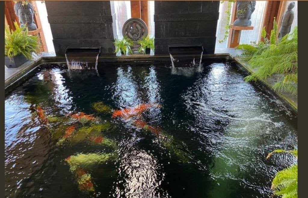 vijver 3 sansai red label trickle filters, Tuin en Terras, Vijver-toebehoren, Ophalen, Gebruikt, Vijverfilter