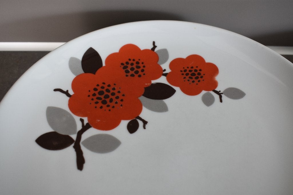 Arzberg borden 6 x met rode grote bloemen art deco vintage, Antiek en Kunst, Antiek | Servies los, Ophalen of Verzenden