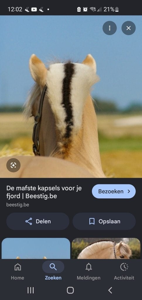 Paard manenkam maken, Dieren en Toebehoren, BR, Ophalen, Nieuw, Scheerapparatuur