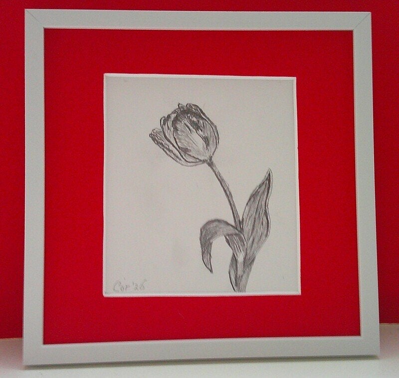 Tulp, Ophalen of Verzenden, Tekening, Potloodtekening, Gesigneerd